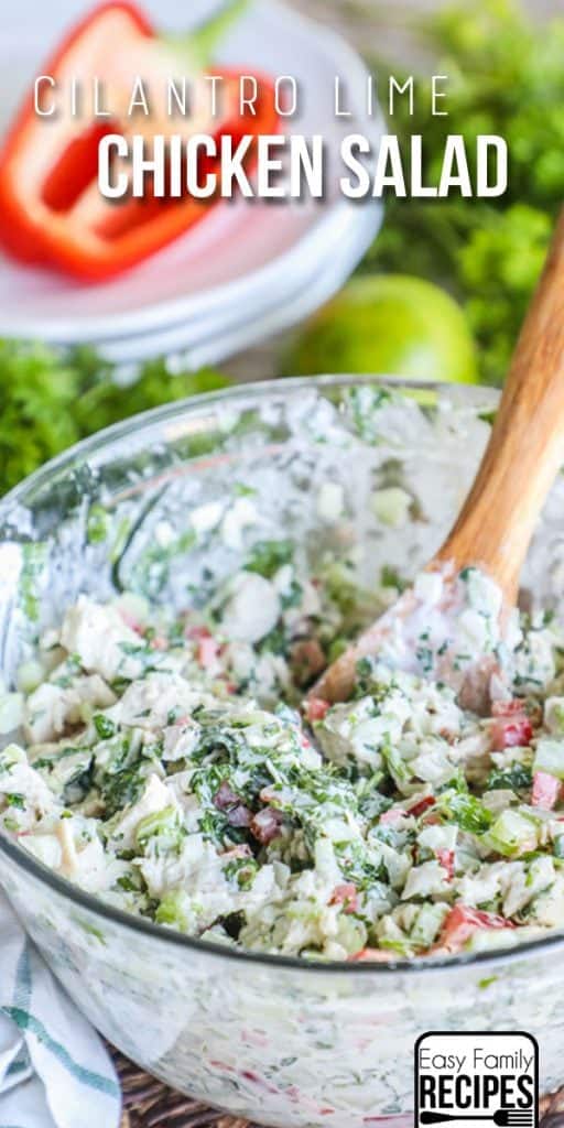 Cilantro Lime Chicken Salad Recipe Easy Family Recipes
