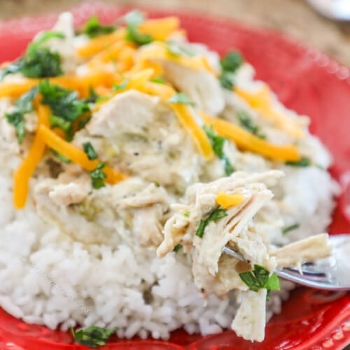 Green Chile Chicken prepared in slow cooker and served with rice.