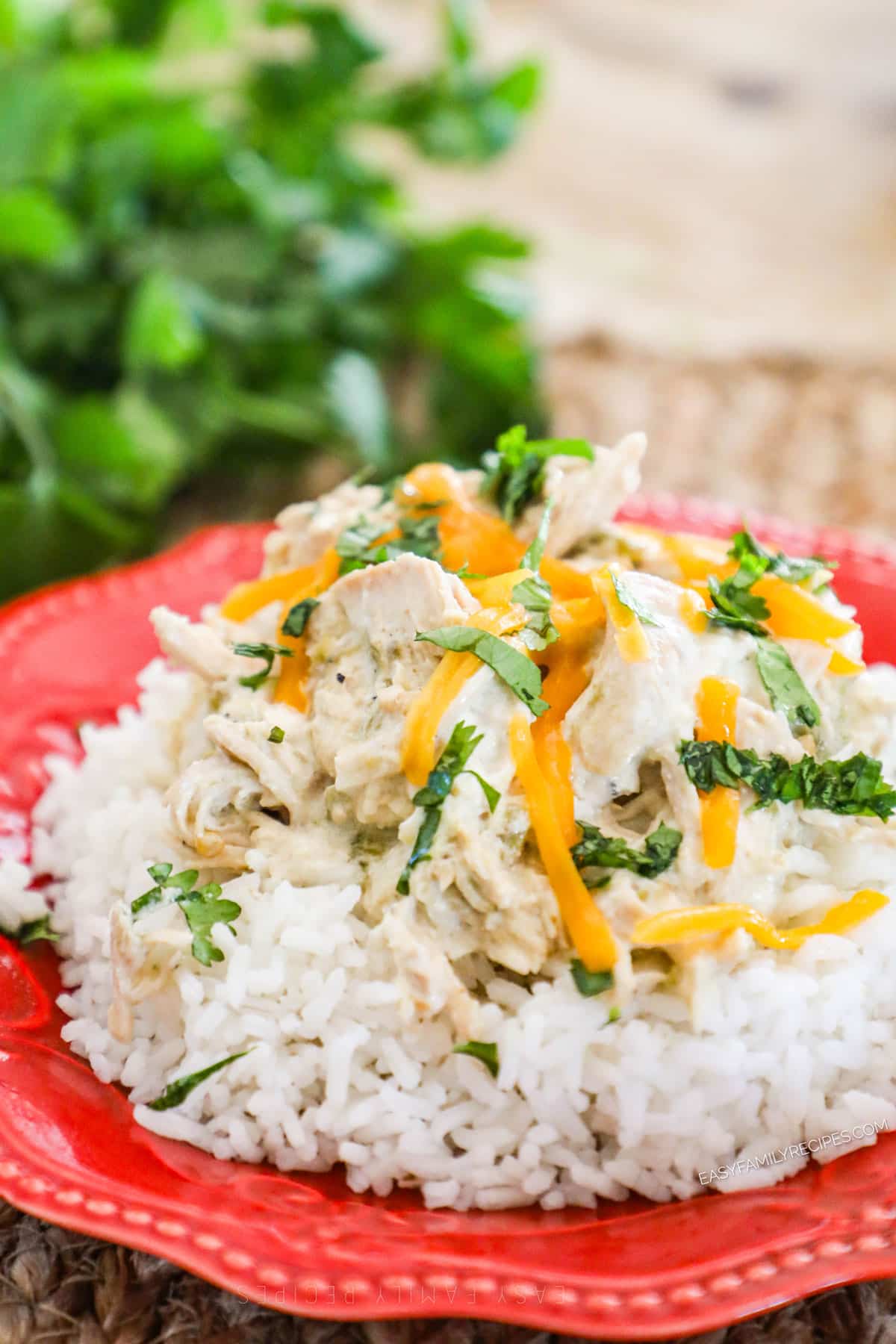 Crockpot Green Chile Chicken served over rice.
