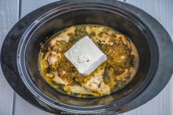 Green Chile Chicken -Crock Pot Recipe · Easy Family Recipes