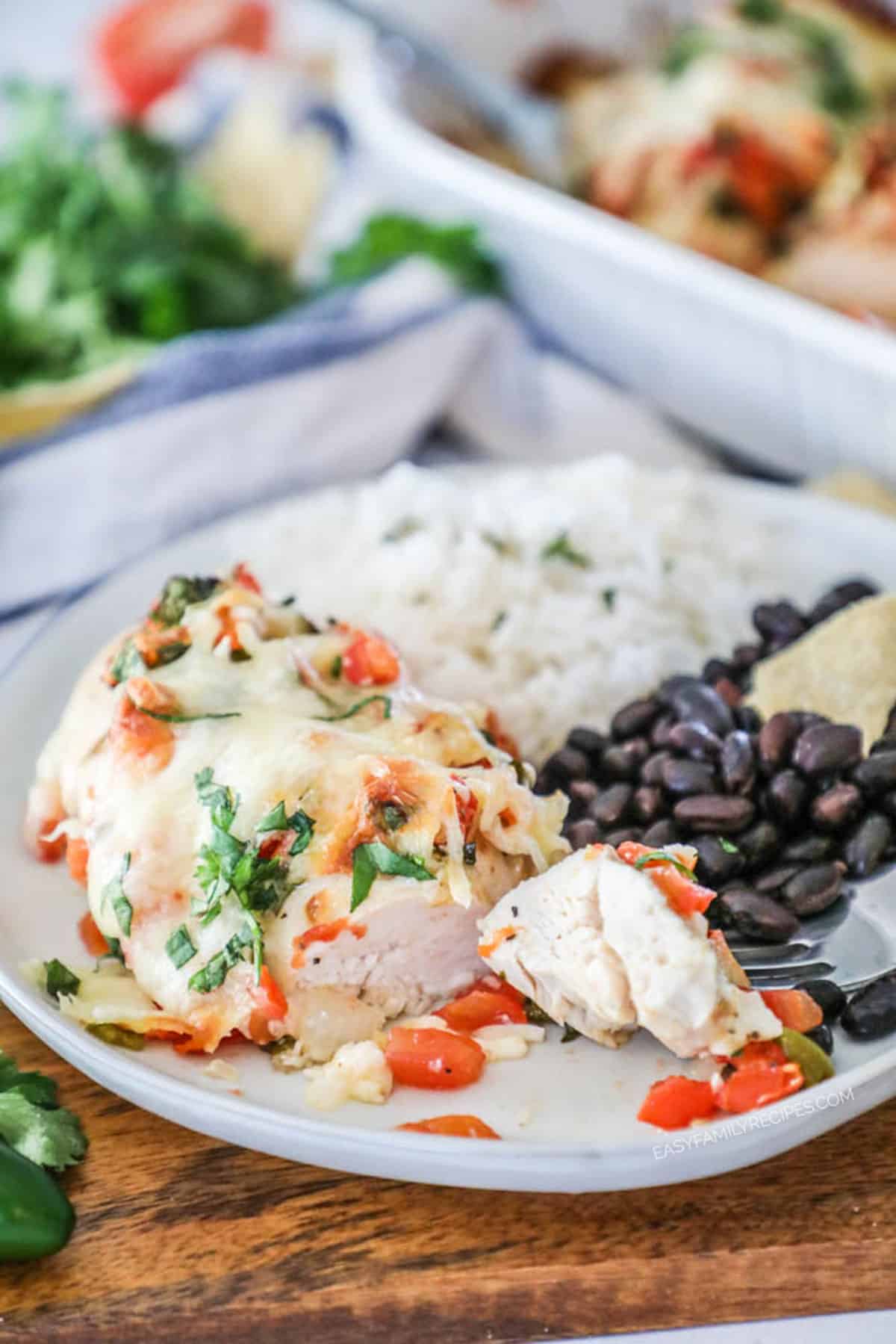 Salsa Fresca Chicken served with black beans and rice.
