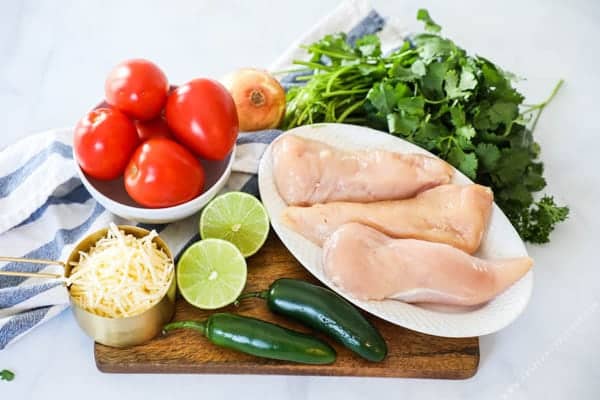 Salsa Fresca Chicken Ingredients