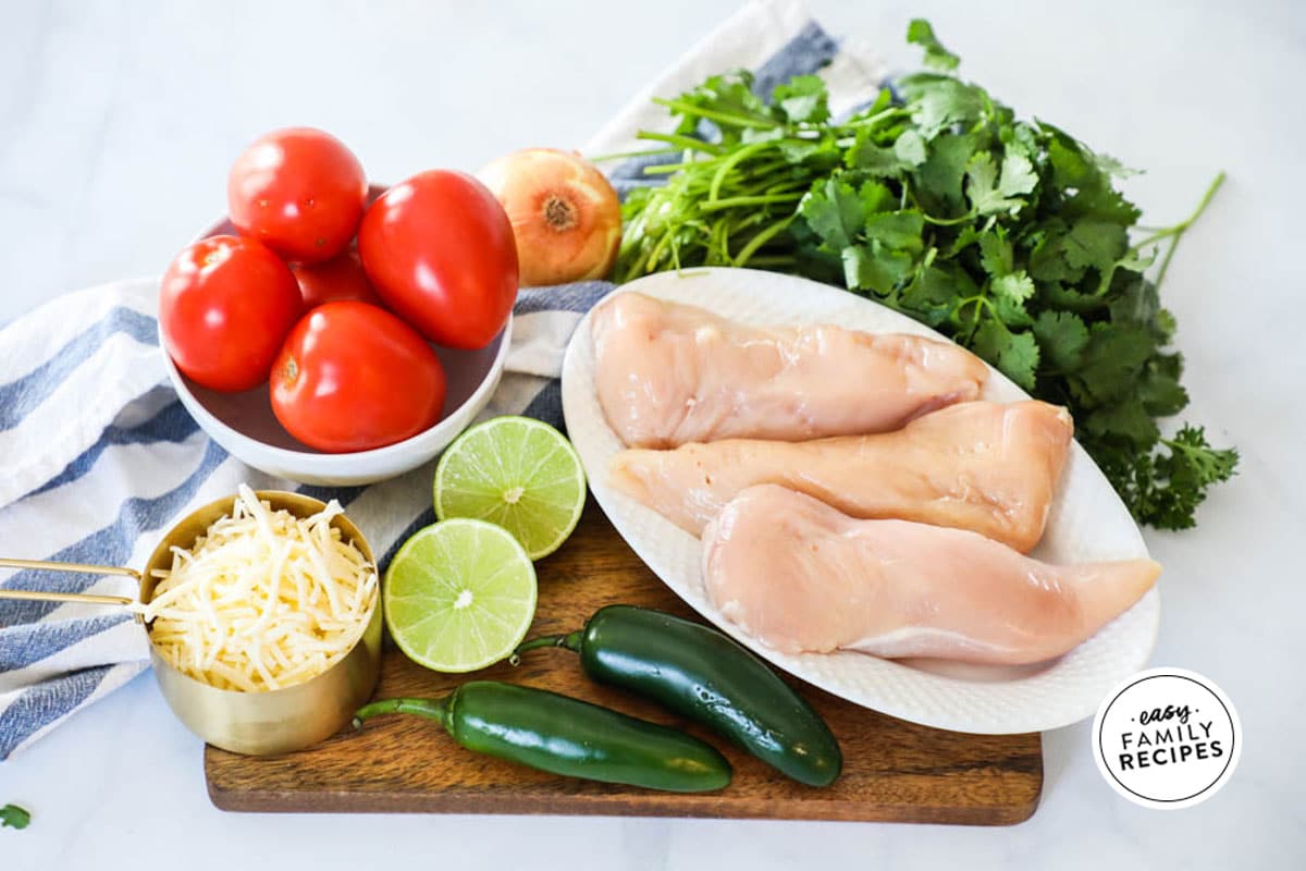 ingredients for Salsa Fresca Chicken: chicken breast, tomatoes, lime cilantro jalapeno cheese, seasonings