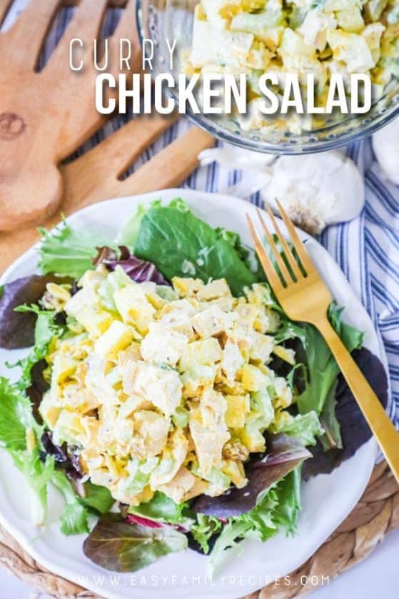 The BEST Curry Chicken Salad - Easy Family Recipes