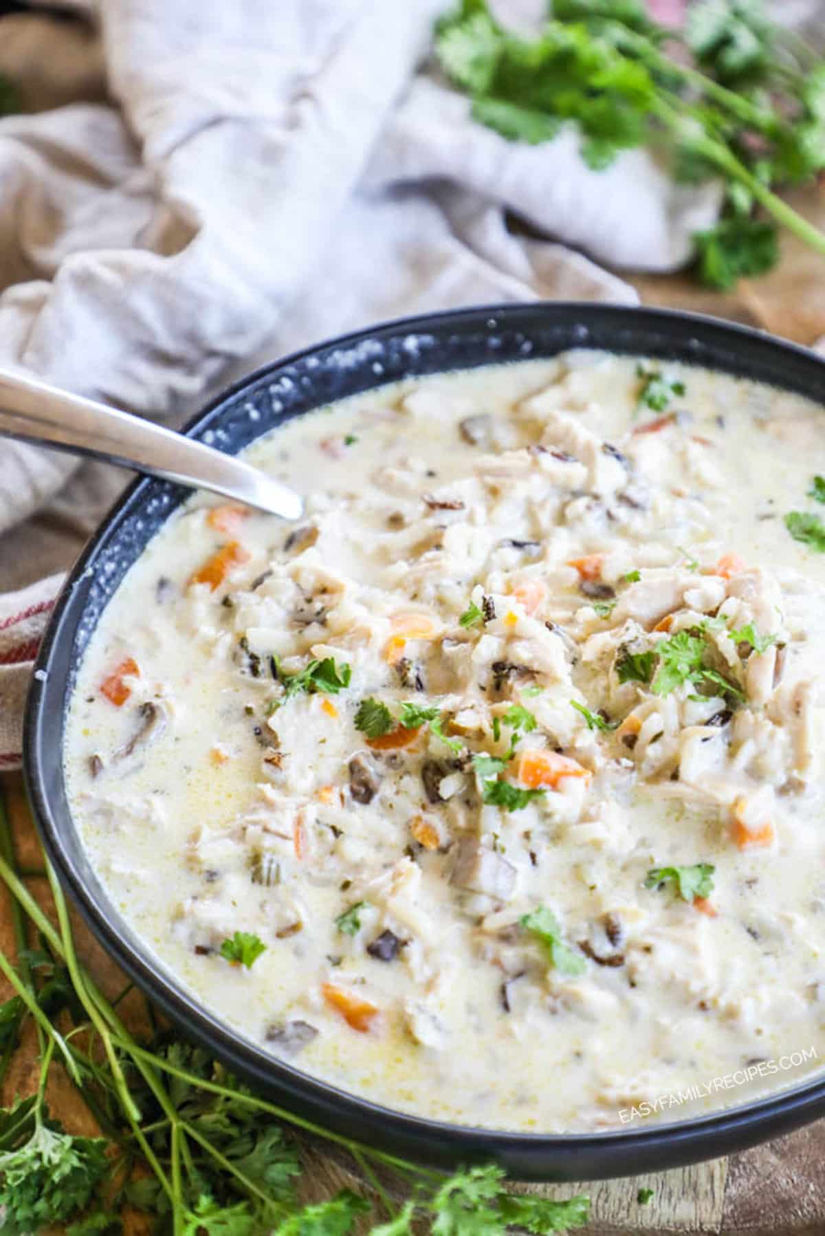 Bowl of slow cooker creamy chicken wild rice soup