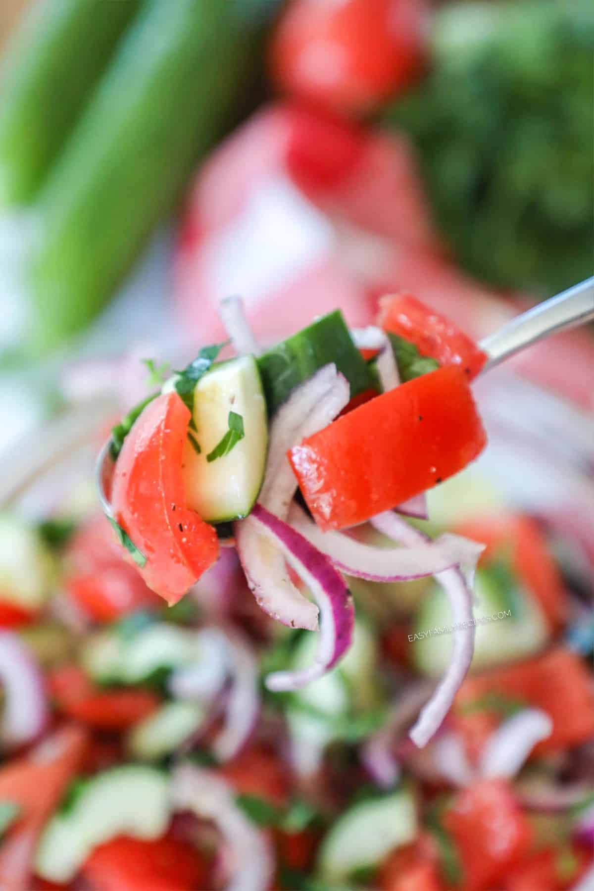 Classic cucumber tomato salad with red onions as a side dish