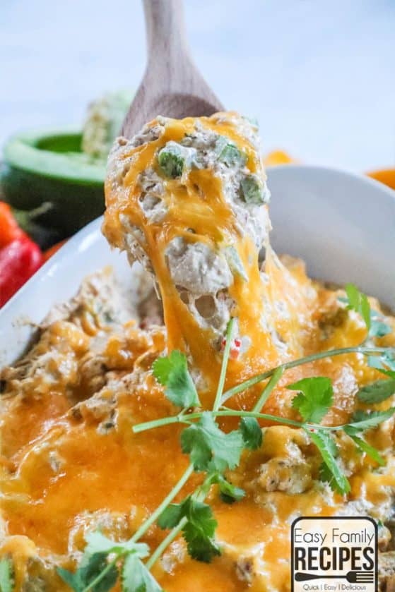 Chicken Fajita Dip · Easy Family Recipes