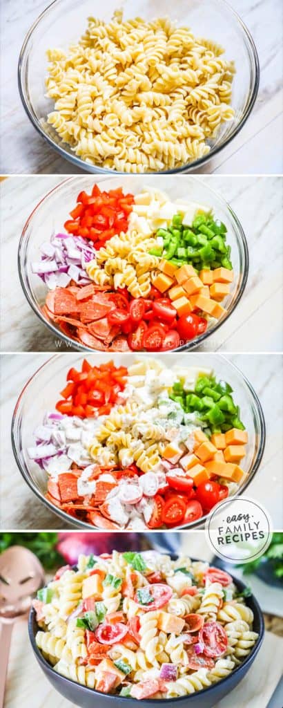 The BEST Easy Rotini Pasta Salad · Easy Family Recipes
