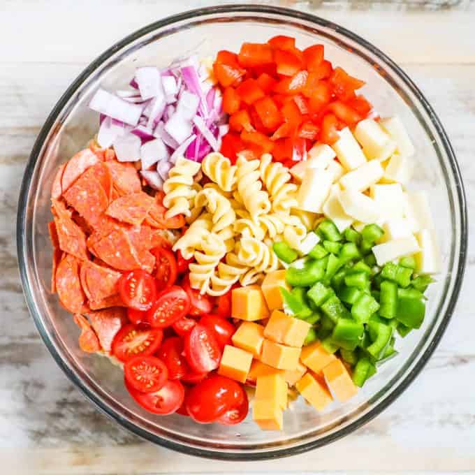 The BEST Easy Rotini Pasta Salad · Easy Family Recipes