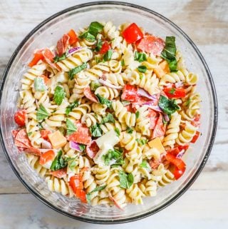 The BEST Easy Rotini Pasta Salad · Easy Family Recipes