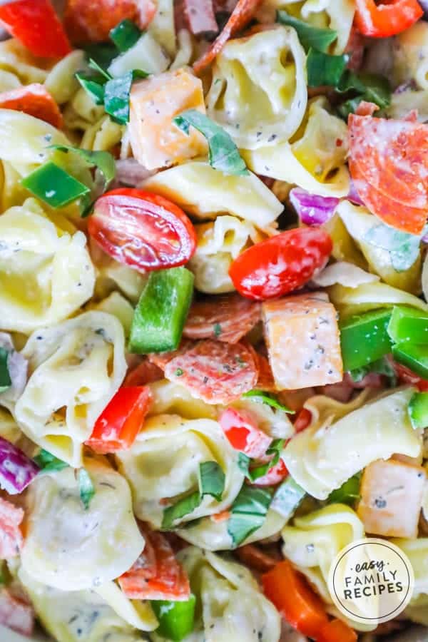 Delicious tortellini salad is an easy and delicious meal to make for the whole family. 