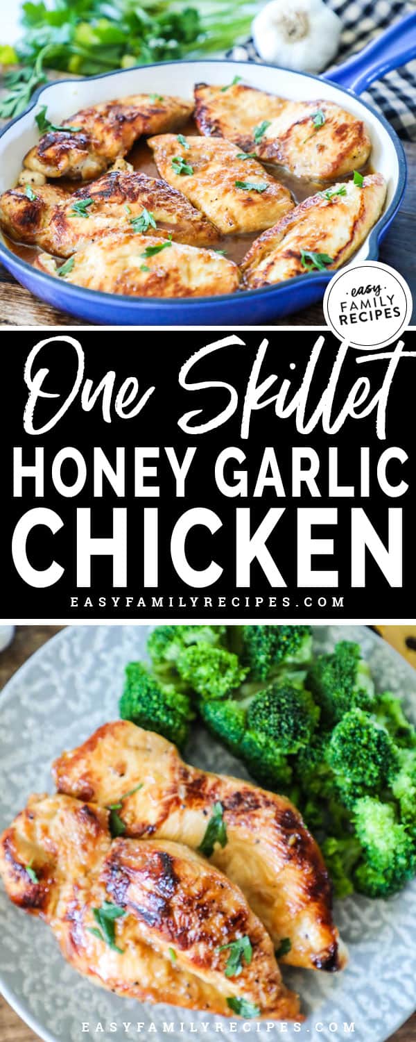 Honey Garlic Chicken served with broccoli