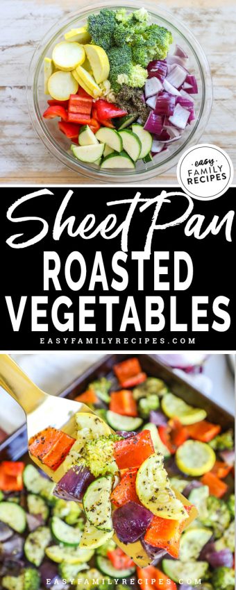 Perfect Oven Roasted Vegetables · Easy Family Recipes