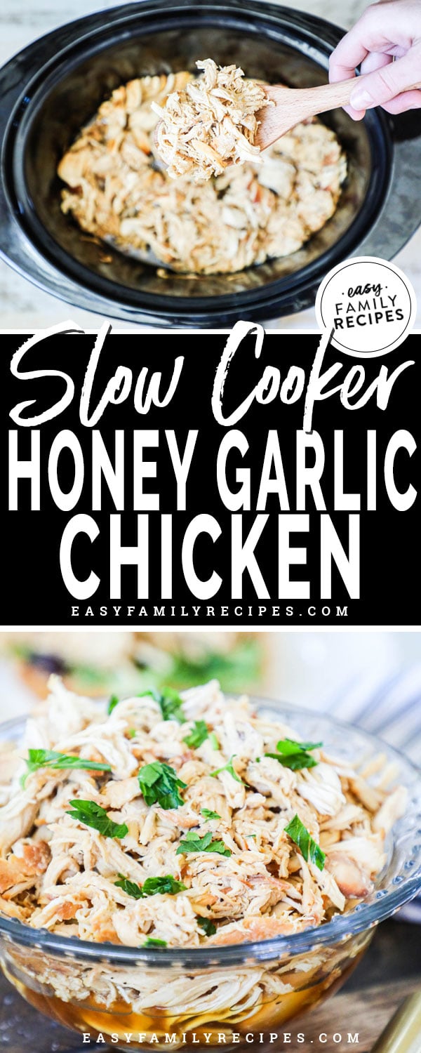 Honey Garlic Chicken in the slow cooker