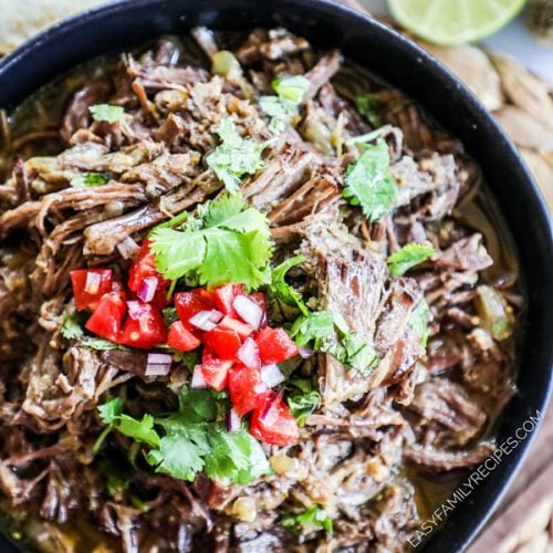 Mexican Shredded Beef topped with cilantro and pico de gallo