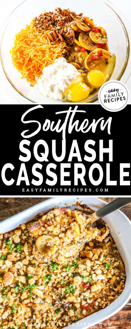 Southern Squash Casserole · Easy Family Recipes
