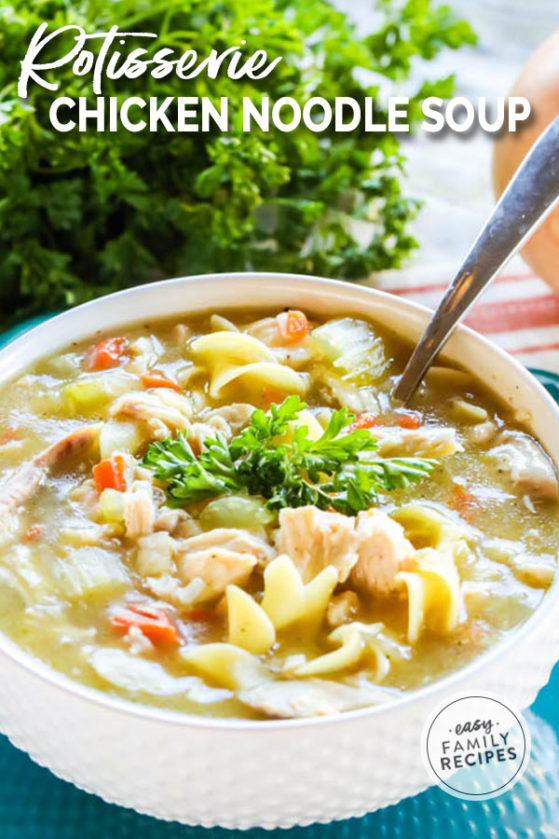 Rotisserie Chicken Noodle Soup · Easy Family Recipes