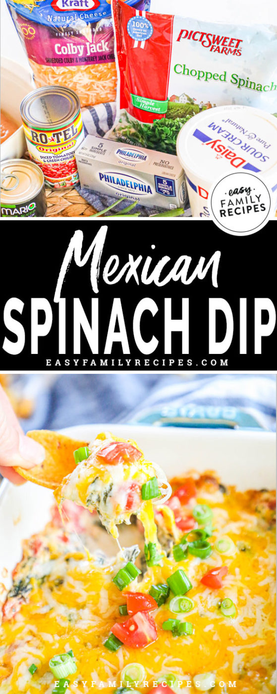 Mexican Spinach Dip {EASY + DELICIOUS} · Easy Family Recipes