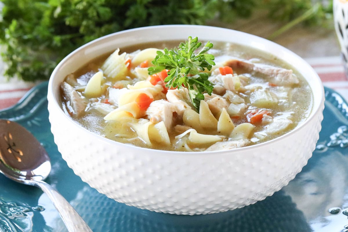 Easy Chicken Noodle Soup made with rotisserie chicken in a bowl ready to eat.