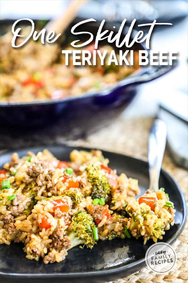 Teriyaki Ground Beef and Rice served with spicy sauce