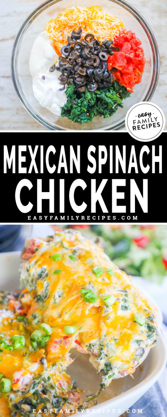 Mexican Spinach Chicken Bake · Easy Family Recipes