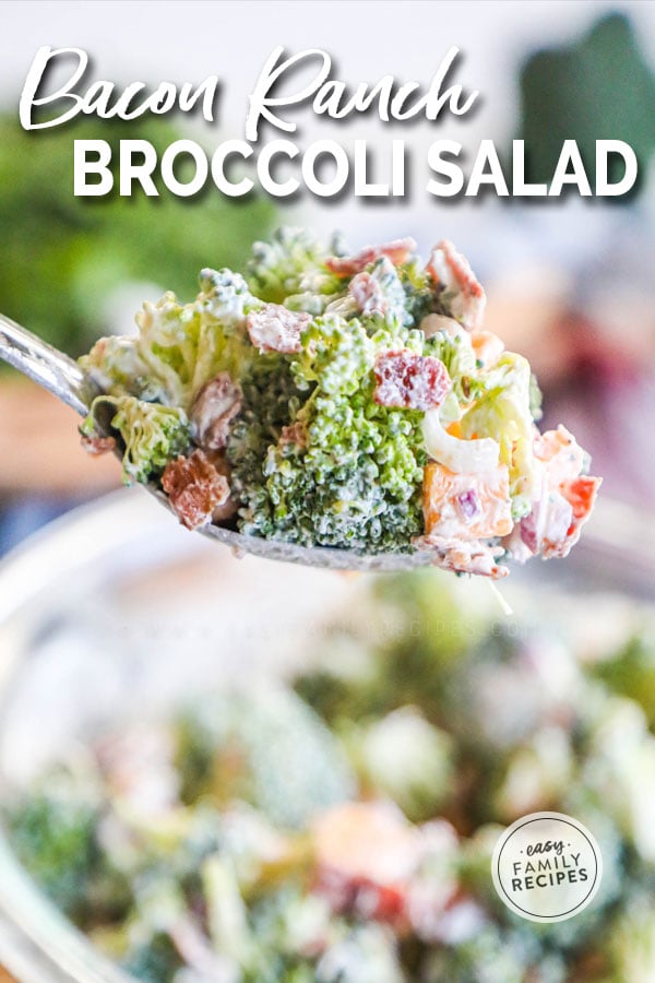 Big spoonful of Broccoli Salad