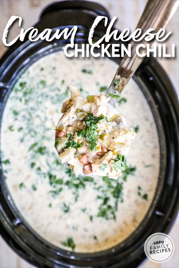Cream Cheese Chicken chili served with ladle from slow cooker