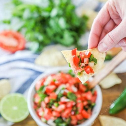 Fresh Pico de gallo on a tortilla chip