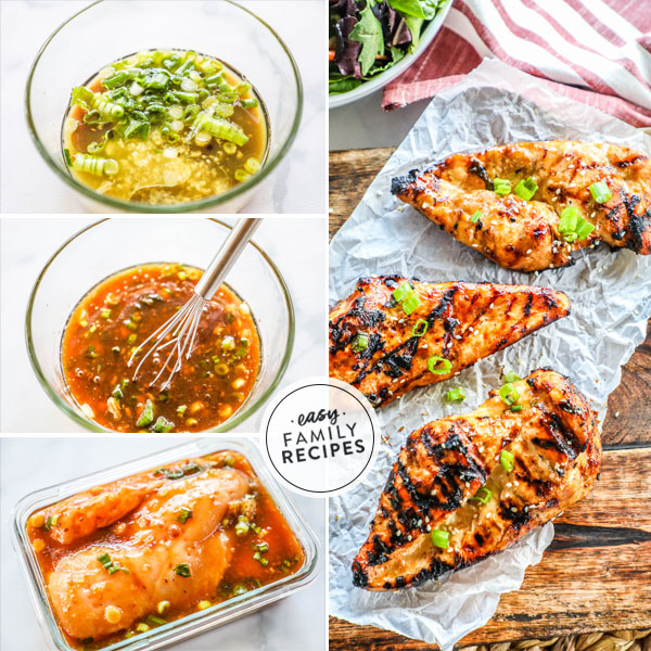 Teriyaki Chicken Marinade · Easy Family Recipes