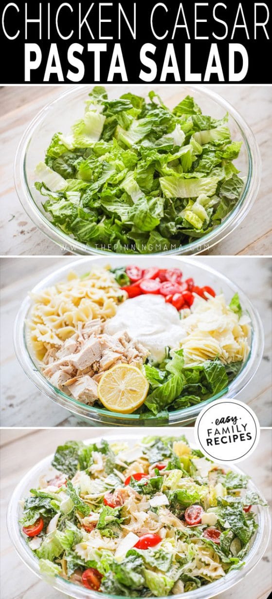 Restaurant Style CHICKEN CAESAR PASTA SALAD · Easy Family Recipes