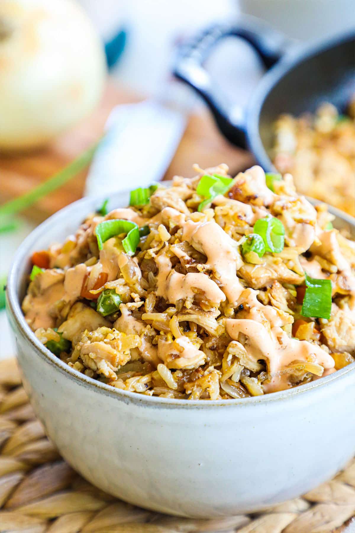 Bowl of chicken fried rice