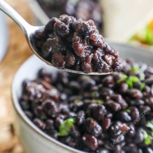 Spoonful of black beans made from scratch in the crock pot