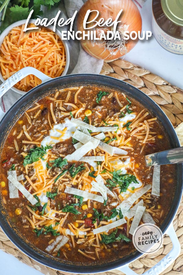 Beef Enchilada Soup in a pot garnished with sour cream, tortillas, cheese and cilantro