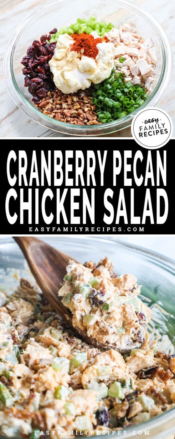 Cranberry Pecan Chicken Salad · Easy Family Recipes