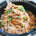 Spoonful of Thai Pork being lifted from slow cooker.
