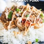 Shredded Thai style pork on top of rice and garnished with sauce and cilantro.