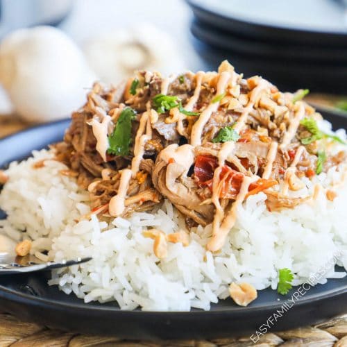 Thai Style pulled pork served on top of rice drizzled with spicy mayo