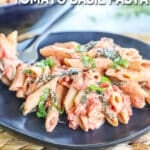 Tomato Basil Pasta served on a plate.