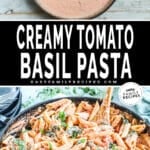 Tomato Basil sauce in a skillet and tossed with pasta.