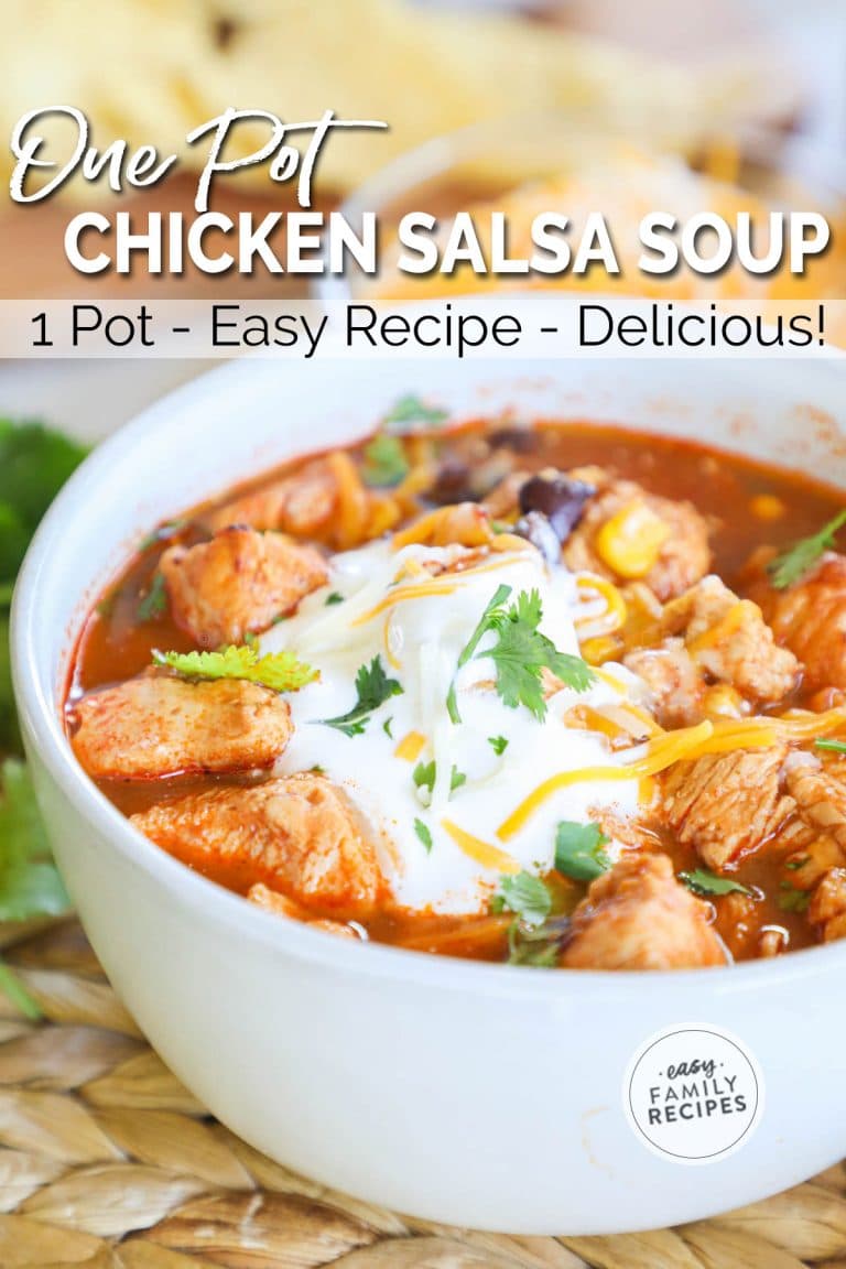 Chicken Salsa Soup One Pot · Easy Family Recipes