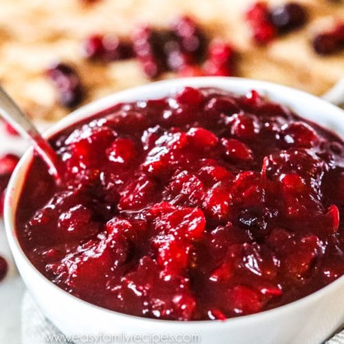 Bowl of cranberry sauce ready to serve