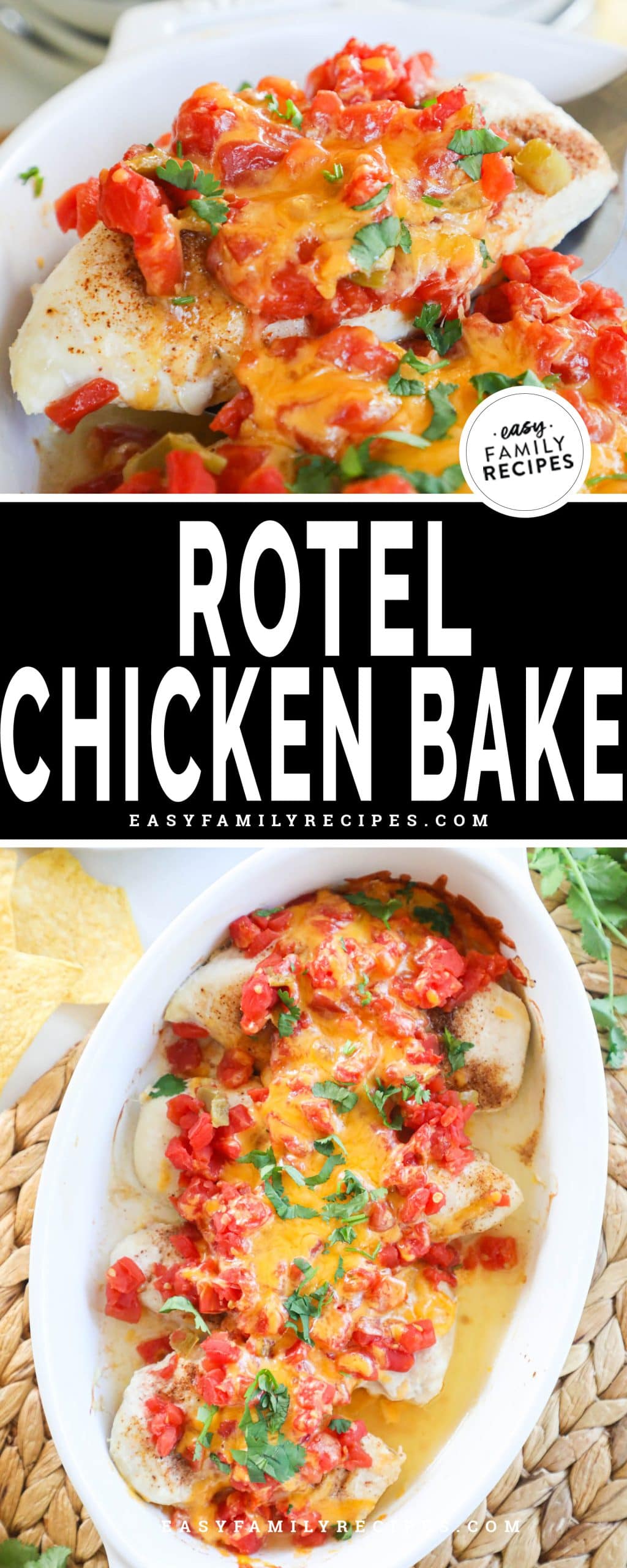 Rotel chicken bake with tomatoes, cheese and fresh cilantro 