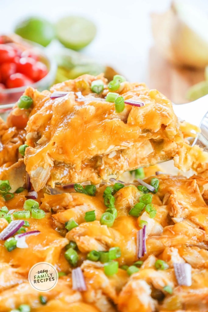 Chicken Enchilada Casserole · Easy Family Recipes