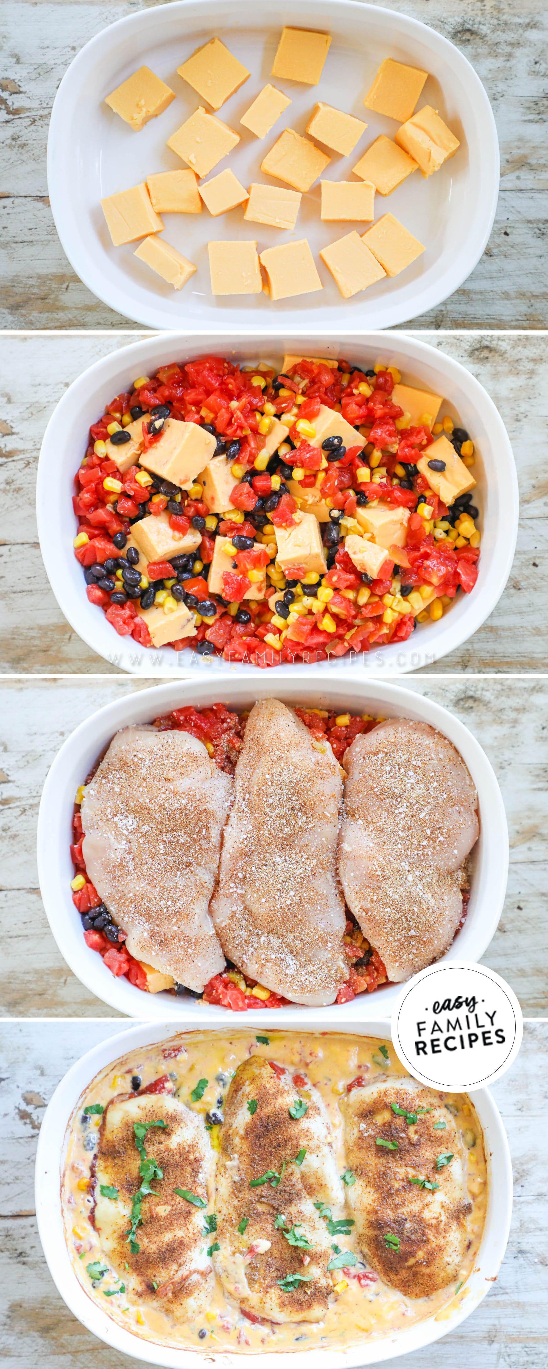 Homemade Shake and Bake Chicken · Easy Family Recipes