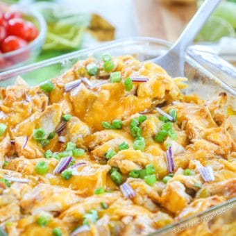 Chicken Enchilada Casserole · Easy Family Recipes