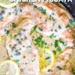 Close up of creamy chicken piccata chicken breast with lemon sauce over it.