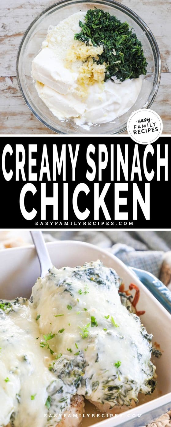 Creamy Spinach Chicken Bake · Easy Family Recipes