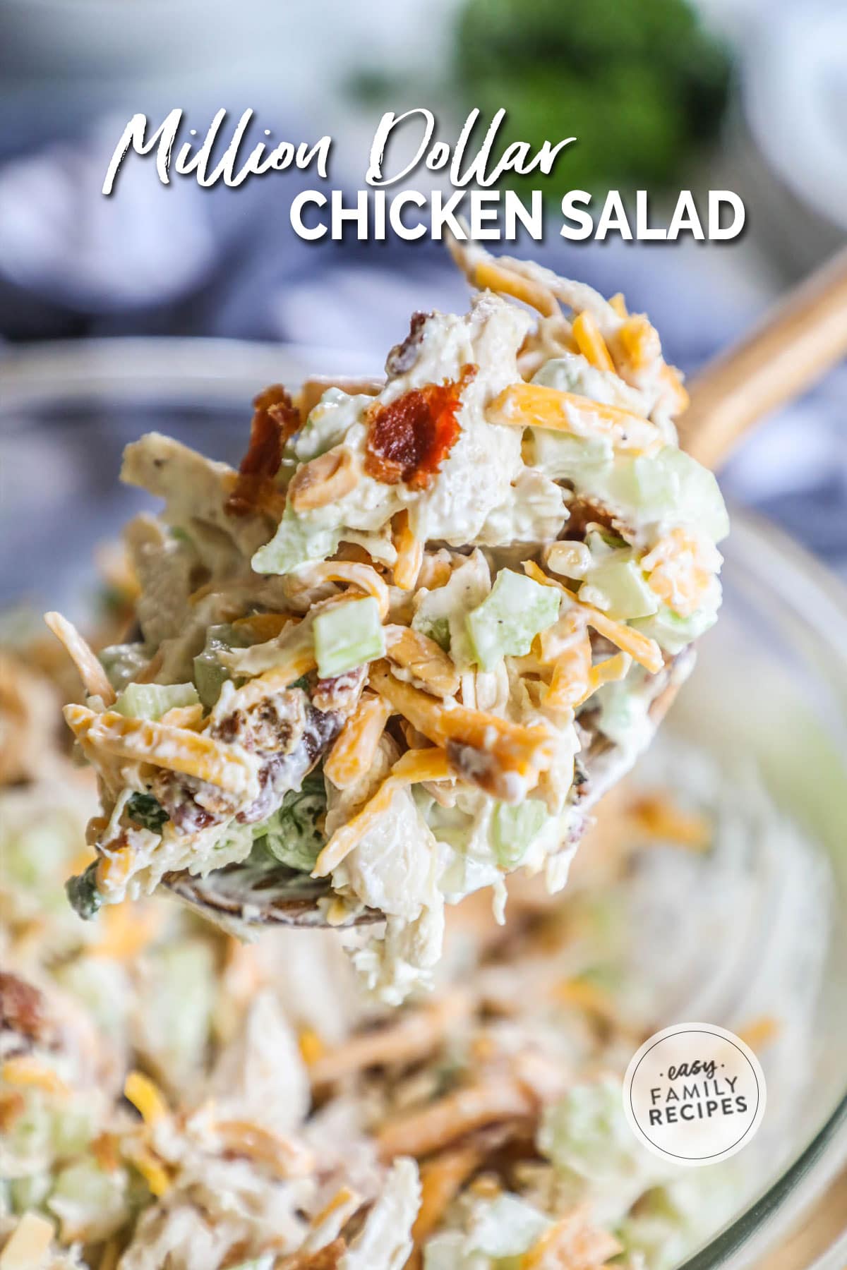 Close up image of a spoon piled with chicken salad.