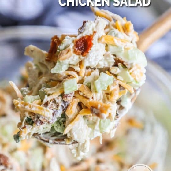 Close up image of a spoon piled with chicken salad.