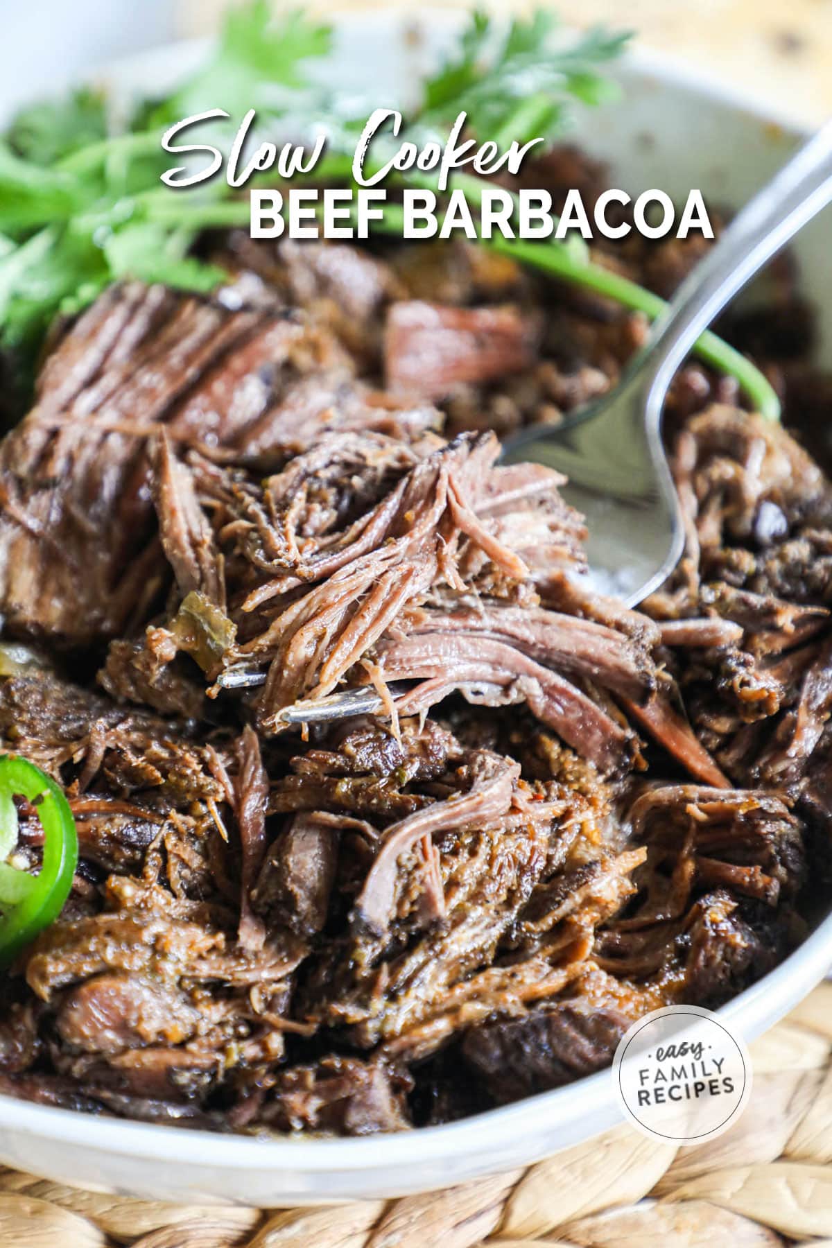 a bowl of shredded beef with a cilantro garnish.